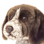 Teddy Hermann German Wirehaired Pointer Puppy 30 cm Soft Toy Close