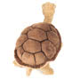Teddy Hermann Giant Tortoise 50cm Soft Toy Back