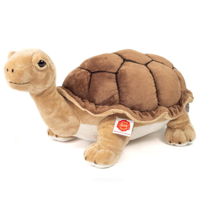 Teddy HermannGiant Tortoise 50cm Soft Toy