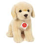 Golden Retriever Sitting Soft Toy 25cm