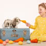 Teddy Hermann Grey & White Ram Rabbit Soft Toy 30 cm In Situ