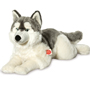 Husky Lying 60cm Plush Soft Toy