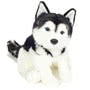 Husky Sitting Soft Toy 30cm Small Image