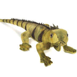 Iguana 49cm Soft Toy