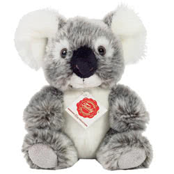 Koala 21cm Soft Toy