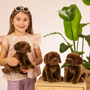 Teddy Hermann Labrador Sitting Dark Brown 25cm Soft Toy Holding