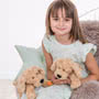 Teddy Hermann Lying Beige Dog Soft Toy 28cm In Situ