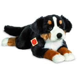 Teddy Hermann Bernese Mountain Dog lying soft toy in a 60 cm size. This beautiful canine features traditional Bernese Mountain dog characteristics, with super soft white, brown and black fluffy fur, long tail, bright eyes, button nose, and cute floppy ear