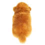 Teddy Hermann Mammoth Soft Toy 30cm back view