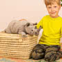 Teddy Hermann Rhinoceros Lying 45cm Soft Toy Holding