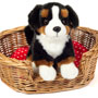 Teddy Hermann Bernese Mountain Dog 21cm Soft Toy Insitu