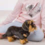Teddy Hermann Wirehaired Dachshund Standing Soft Toy In Situ