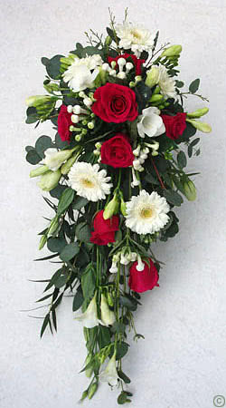 This is a picture of a traditional Wedding Bouquet using Red Roses, White Freesia, Gerbera and Stephanotis plus ruscus and eucalyptus foliage.