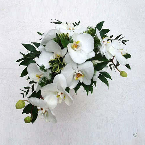 This is a picture of a White Phalaenopsis Orchid Wedding Bouquet with ruscus and variegated foliage.