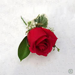 This is a red rose Wedding Buttonhole, it comes with green leaves, gypsophila and an attachment pin.