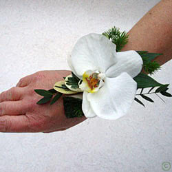 This is a Wedding Wristlet made from a single White Orchid plus foliage. 