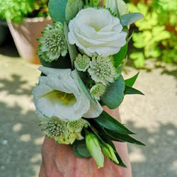 This is a Wedding Flower Wristlet made from White Lisianthus plus foliage.
