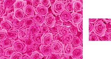 Pink Roses Wrapping Paper - Photowrap