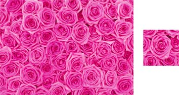 Photowrap Pink Roses Wrapping Paper - Photowrap