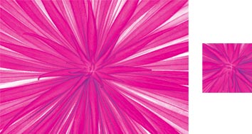 Pinkstar Photowrap Giftwrap
