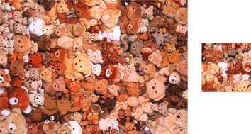 Teddies Photowrap Wrapping Paper