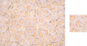 White Roses Photowrap Wrapping Paper