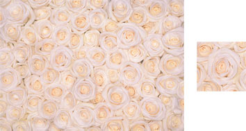 Photowrap White Roses Photowrap Wrapping Paper