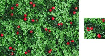 Photowrap Yew Photowrap Wrapping Paper