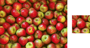 Photowrap Apples Wrapping Paper - Photowrap