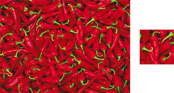 Chillies Wrapping Paper - Photowrap