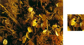 Photowrap Driedgold Photowrap Wrapping Paper
