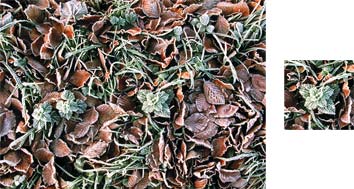 Frost Photowrap Wrapping Paper