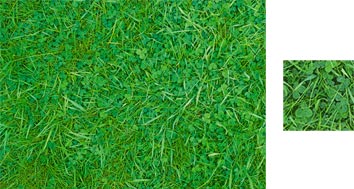 Photowrap Lawn Grass Wrapping Paper - Photowrap