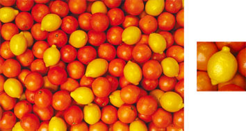 Photowrap Oranges and Lemons Wrapping Paper - Photowrap