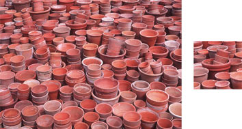 Plant Pots Photowrap Wrapping Paper