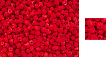 Photowrap Raspberries Wrapping Paper - Photowrap
