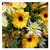 Flower Delivery Index