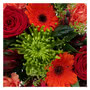 Florists Choice Red & Orange +