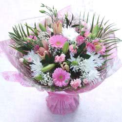 Flowers Pink Euphoria
