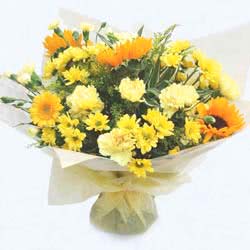 Flowers Shades of Yellow
