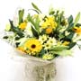 National Flower Delivery Yellows and Creams 
